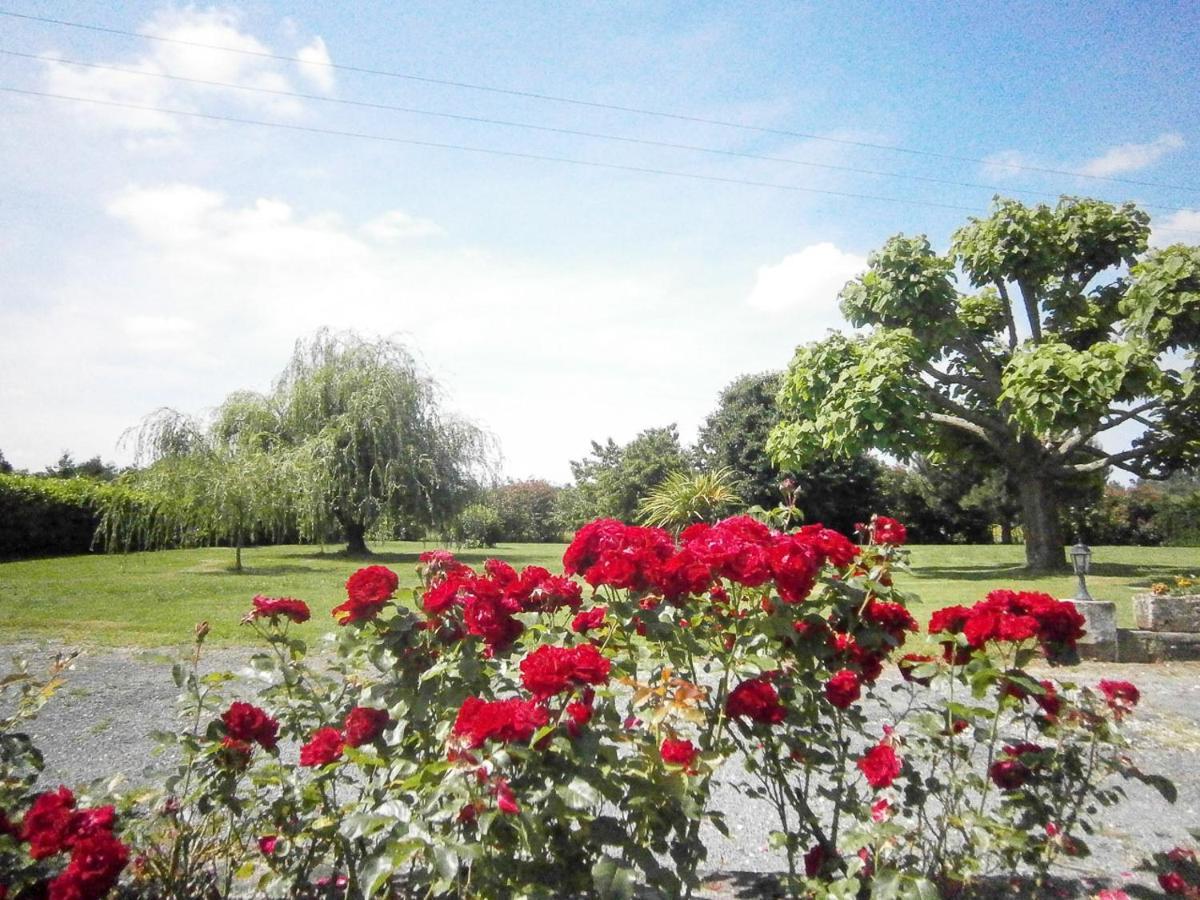 Bed and Breakfast Le Charhido Saint-Fort-sur-Gironde Esterno foto